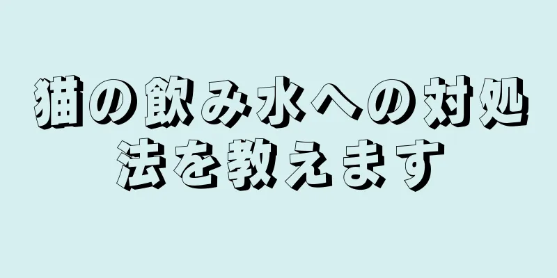 猫の飲み水への対処法を教えます