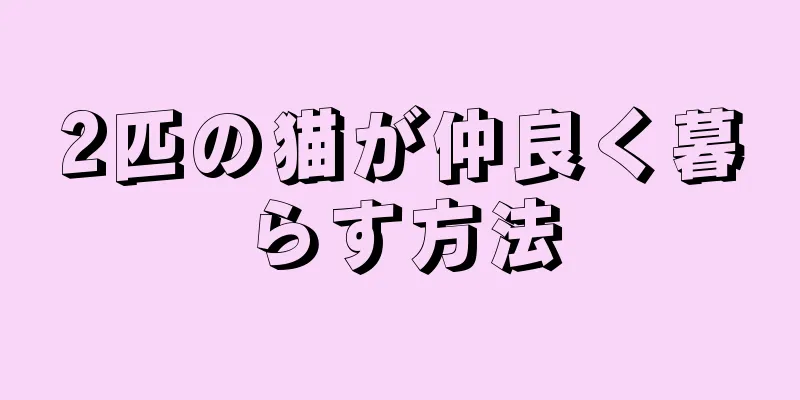 2匹の猫が仲良く暮らす方法