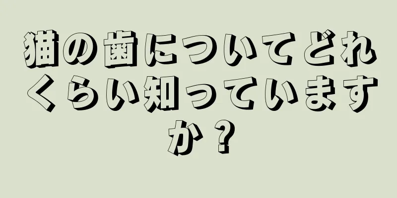 猫の歯についてどれくらい知っていますか？
