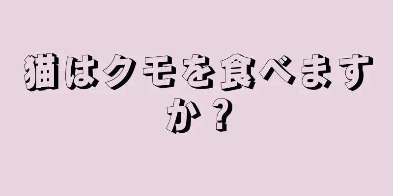 猫はクモを食べますか？