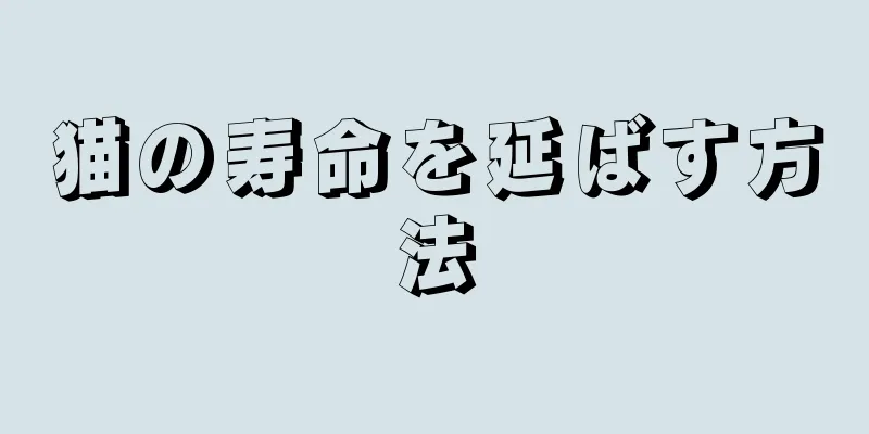 猫の寿命を延ばす方法