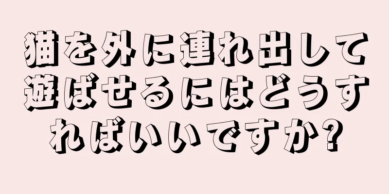 猫を外に連れ出して遊ばせるにはどうすればいいですか?