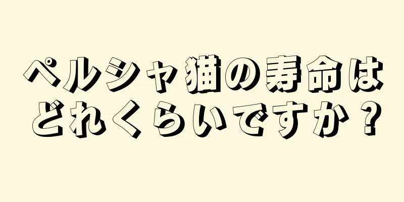 ペルシャ猫の寿命はどれくらいですか？