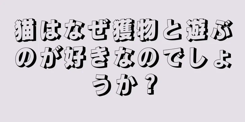 猫はなぜ獲物と遊ぶのが好きなのでしょうか？