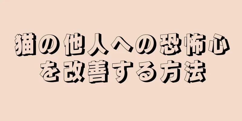 猫の他人への恐怖心を改善する方法