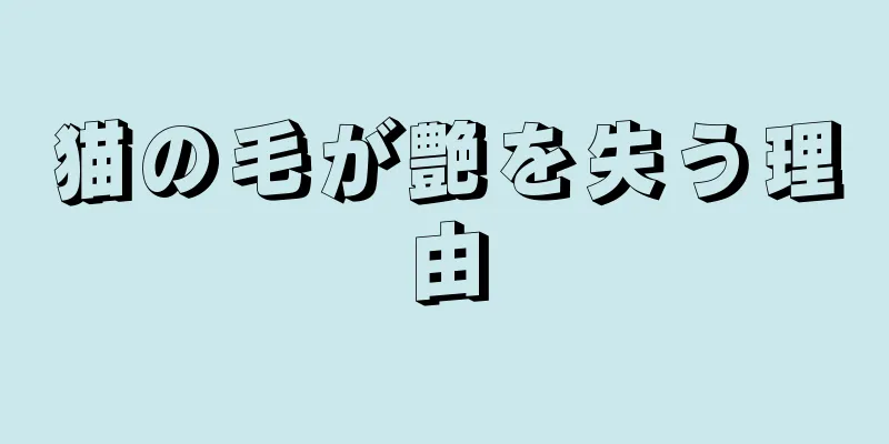 猫の毛が艶を失う理由