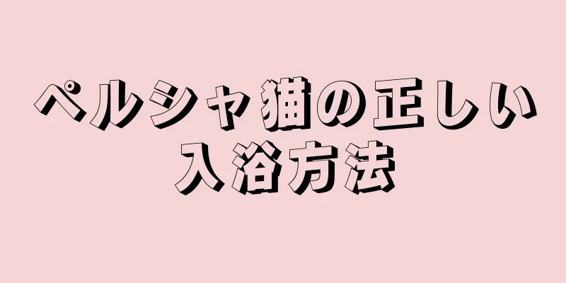 ペルシャ猫の正しい入浴方法