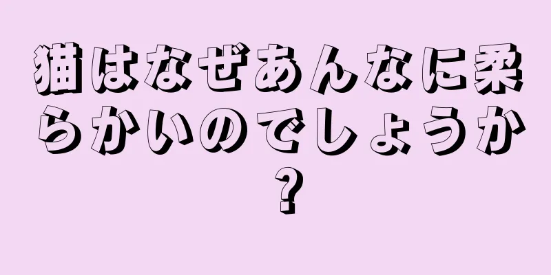 猫はなぜあんなに柔らかいのでしょうか？