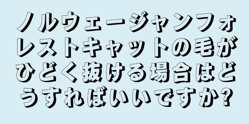 ノルウェージャンフォレストキャットの毛がひどく抜ける場合はどうすればいいですか?