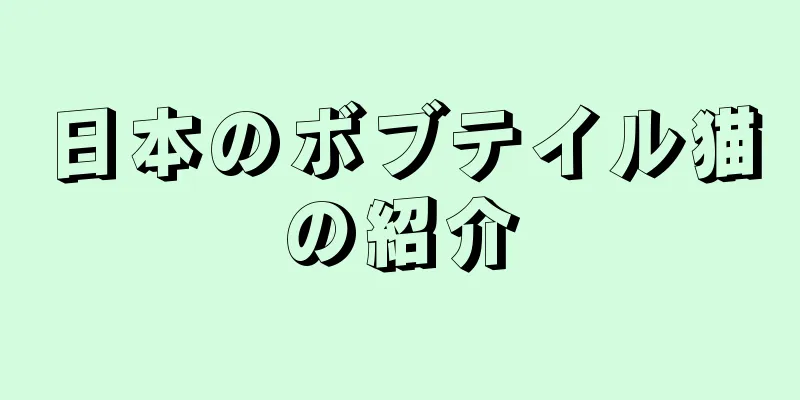 日本のボブテイル猫の紹介