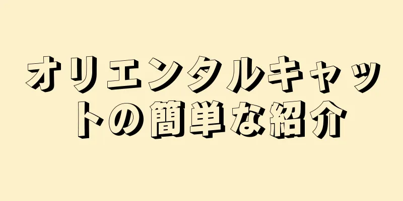 オリエンタルキャットの簡単な紹介