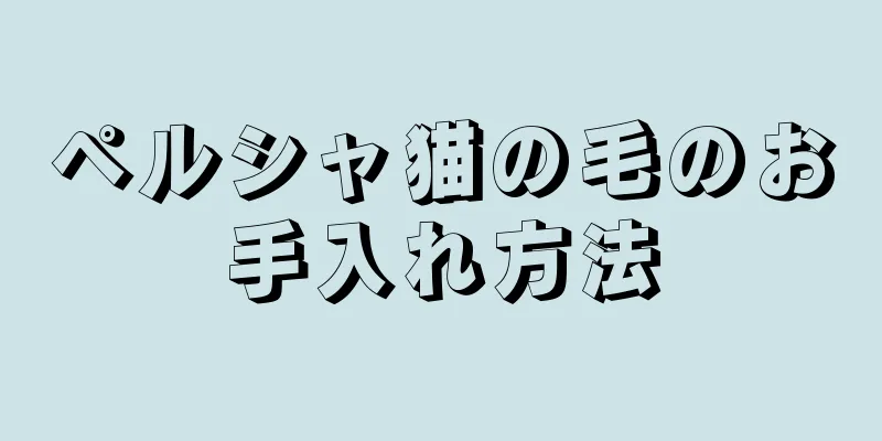 ペルシャ猫の毛のお手入れ方法