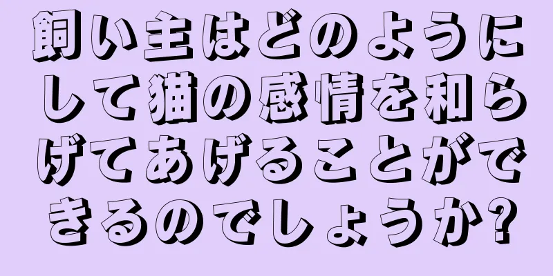 飼い主はどのようにして猫の感情を和らげてあげることができるのでしょうか?