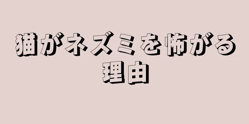 猫がネズミを怖がる理由