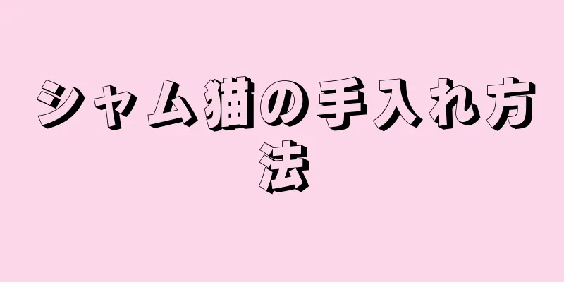 シャム猫の手入れ方法
