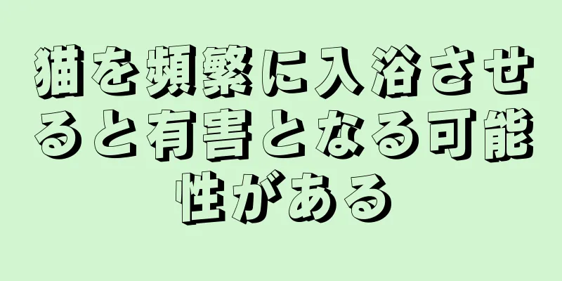 猫を頻繁に入浴させると有害となる可能性がある