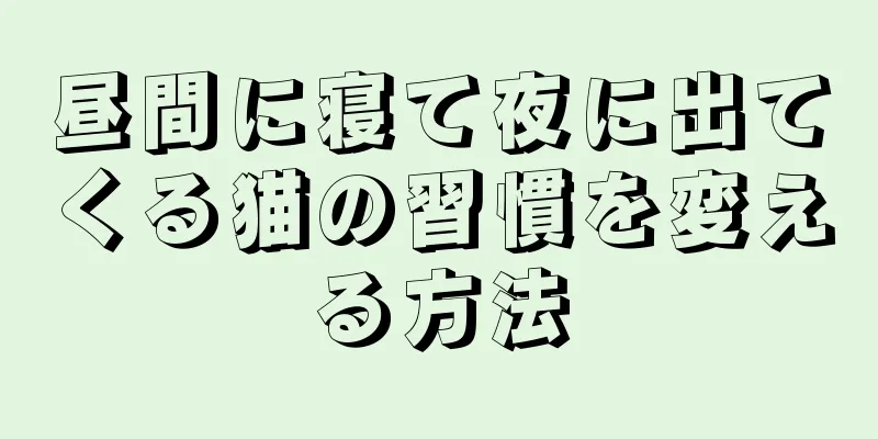 昼間に寝て夜に出てくる猫の習慣を変える方法
