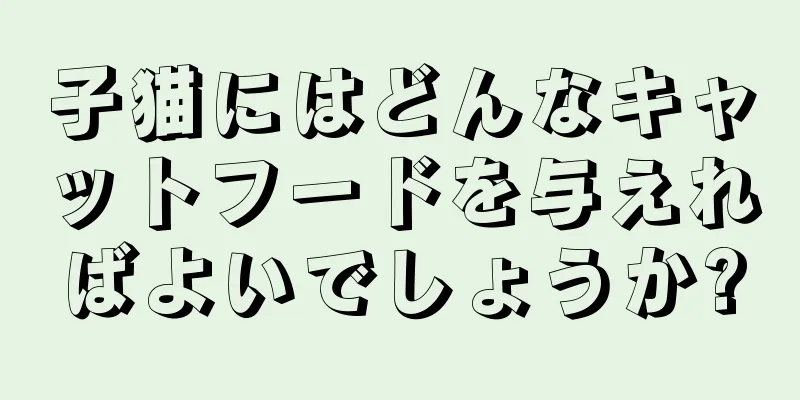 子猫にはどんなキャットフードを与えればよいでしょうか?