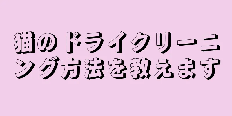 猫のドライクリーニング方法を教えます