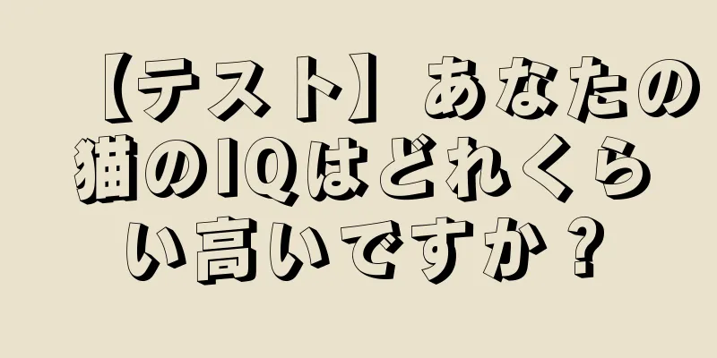 【テスト】あなたの猫のIQはどれくらい高いですか？