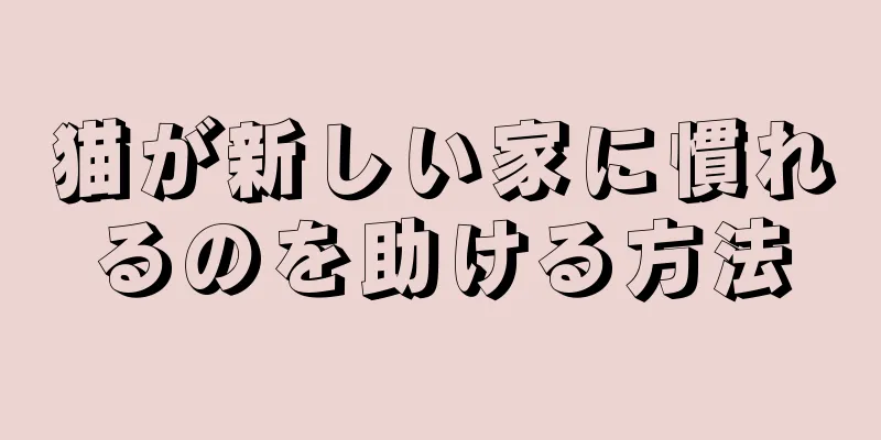 猫が新しい家に慣れるのを助ける方法