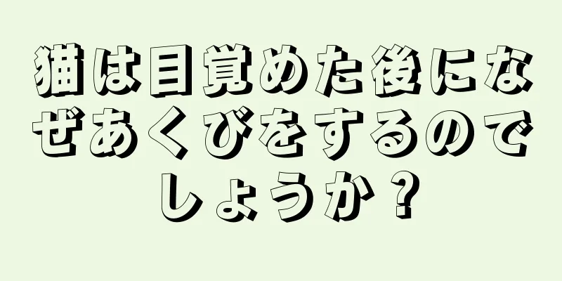 猫は目覚めた後になぜあくびをするのでしょうか？