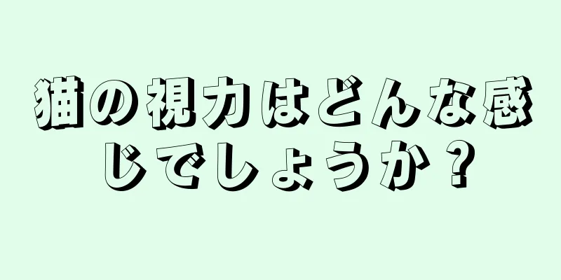 猫の視力はどんな感じでしょうか？