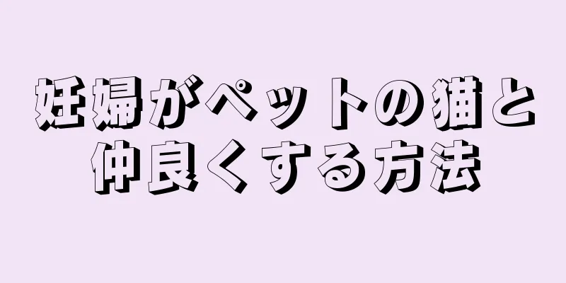 妊婦がペットの猫と仲良くする方法