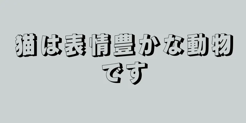 猫は表情豊かな動物です