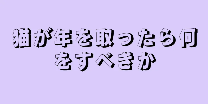 猫が年を取ったら何をすべきか