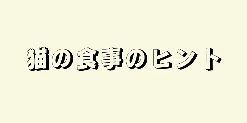 猫の食事のヒント