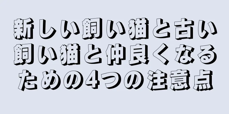 新しい飼い猫と古い飼い猫と仲良くなるための4つの注意点