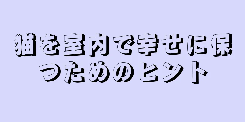猫を室内で幸せに保つためのヒント