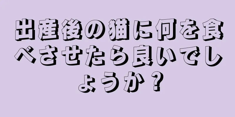 出産後の猫に何を食べさせたら良いでしょうか？