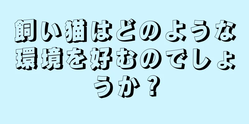 飼い猫はどのような環境を好むのでしょうか？