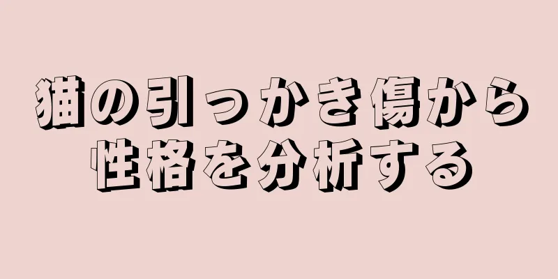 猫の引っかき傷から性格を分析する