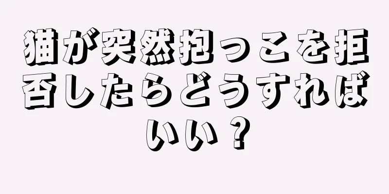 猫が突然抱っこを拒否したらどうすればいい？