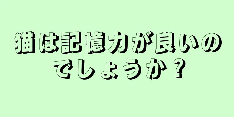 猫は記憶力が良いのでしょうか？
