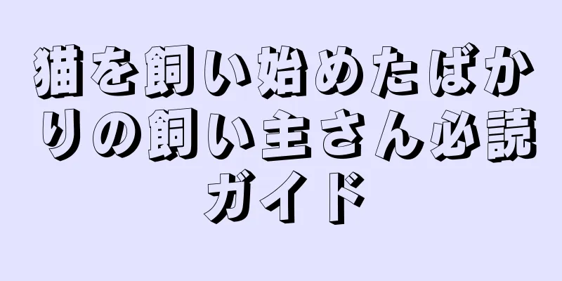 猫を飼い始めたばかりの飼い主さん必読ガイド