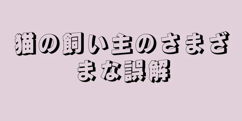 猫の飼い主のさまざまな誤解