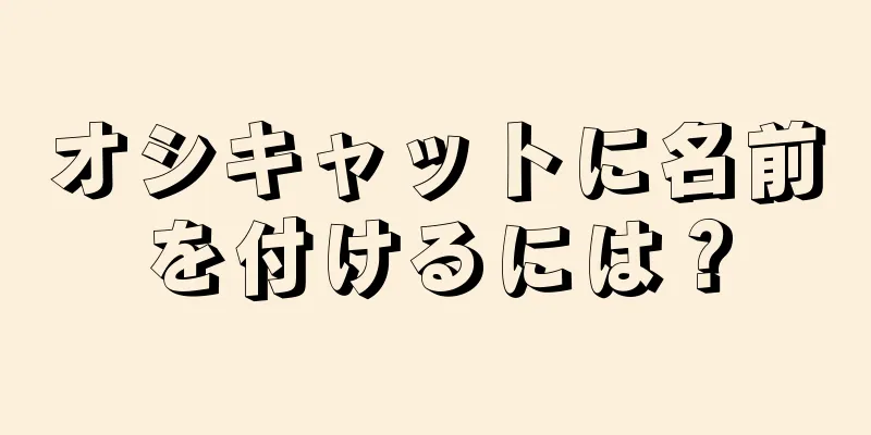 オシキャットに名前を付けるには？