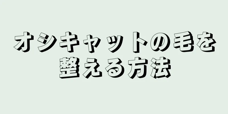 オシキャットの毛を整える方法