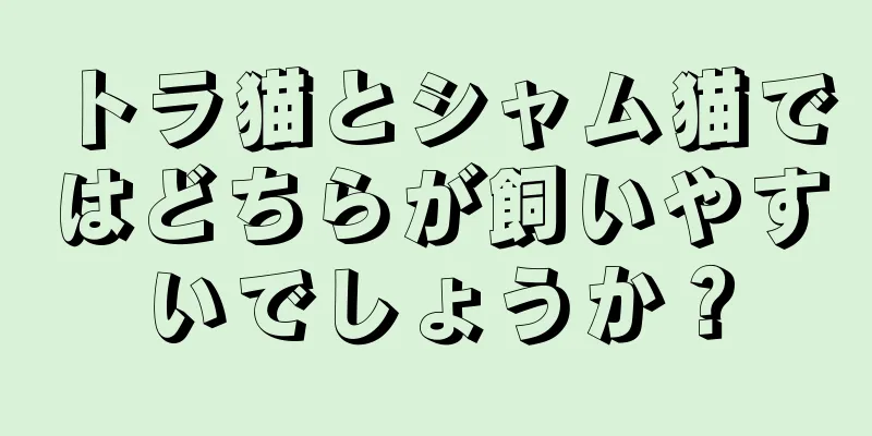 トラ猫とシャム猫ではどちらが飼いやすいでしょうか？