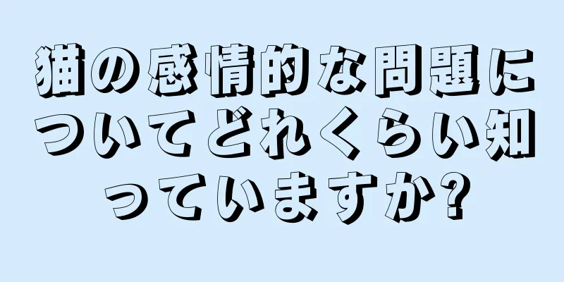 猫の感情的な問題についてどれくらい知っていますか?