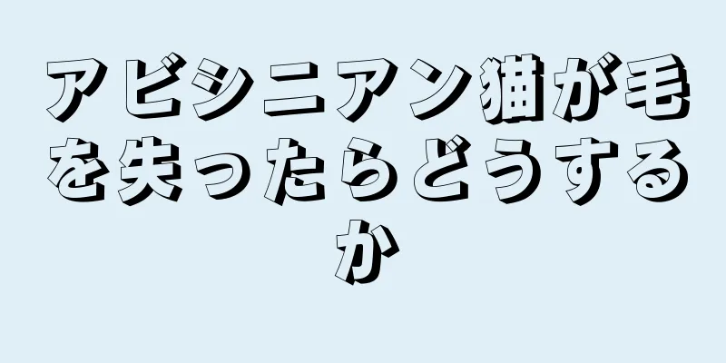 アビシニアン猫が毛を失ったらどうするか