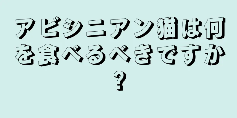 アビシニアン猫は何を食べるべきですか?