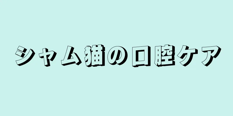 シャム猫の口腔ケア