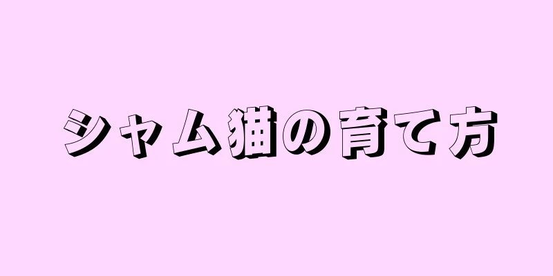 シャム猫の育て方