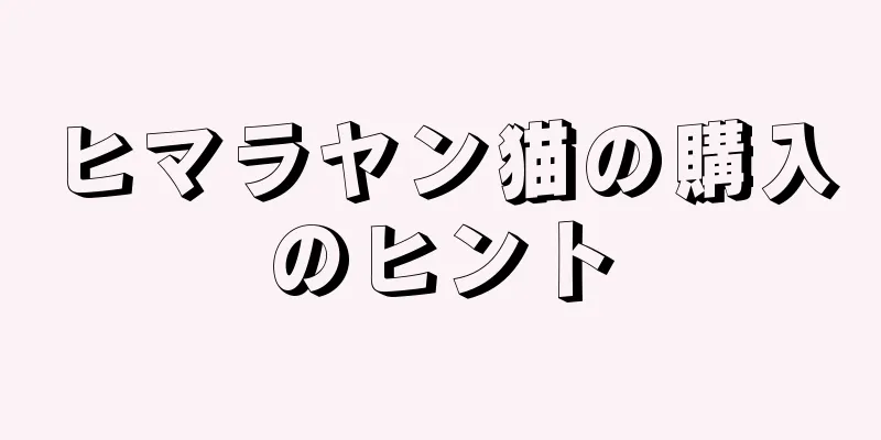 ヒマラヤン猫の購入のヒント