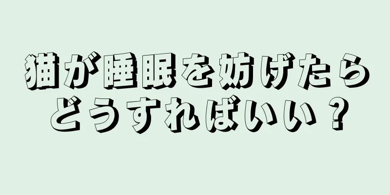 猫が睡眠を妨げたらどうすればいい？